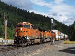 BNSF 6905